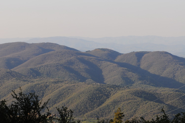 Incontro toscano